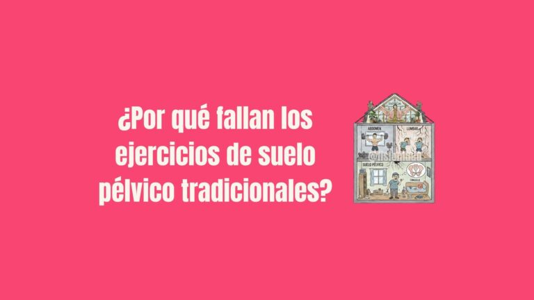 suelo-pelvico-didactico